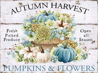 Pumpkins & Flowers - 5616