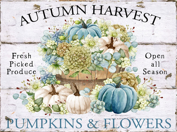 Pumpkins & Flowers - 5616