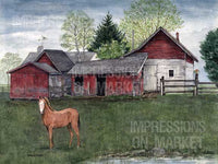 Horse Barn - 3572