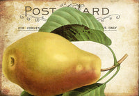 Pear Postcard - 5412