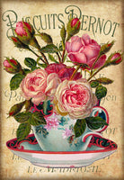 Teacup Roses Eight - 5556