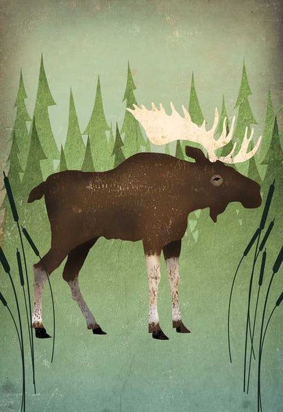 Moose In Reeds - 6392