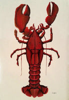 Lobster - 7309A