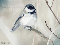 Chickadee - 7914